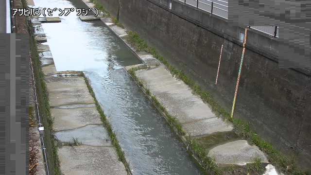 静止画