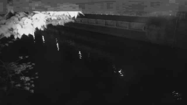 静止画