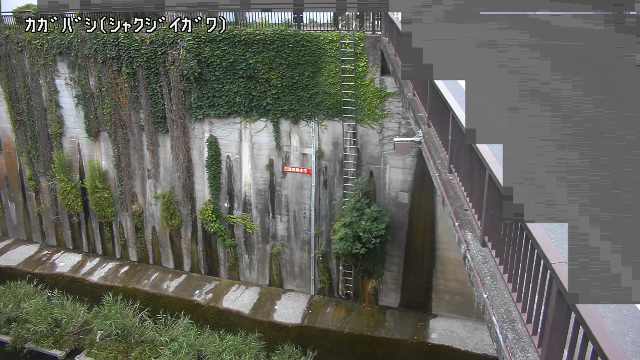 静止画