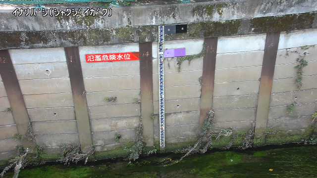 静止画