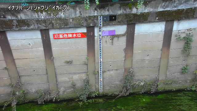 静止画
