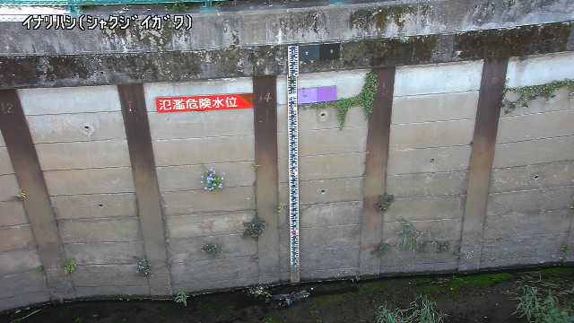 静止画