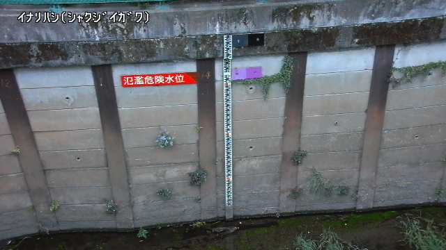 静止画