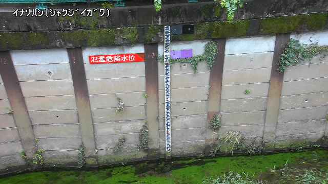 静止画
