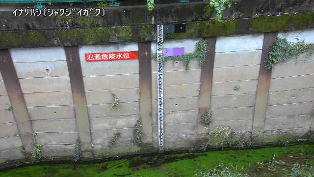 静止画