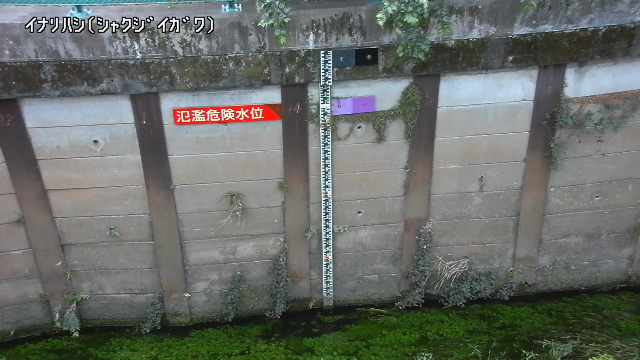 静止画