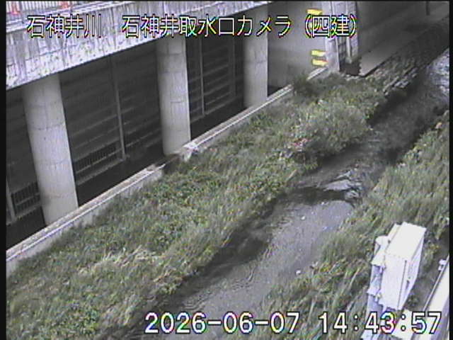静止画