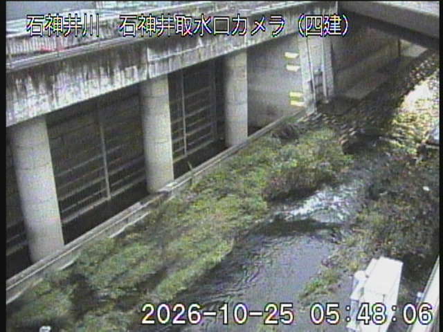 静止画