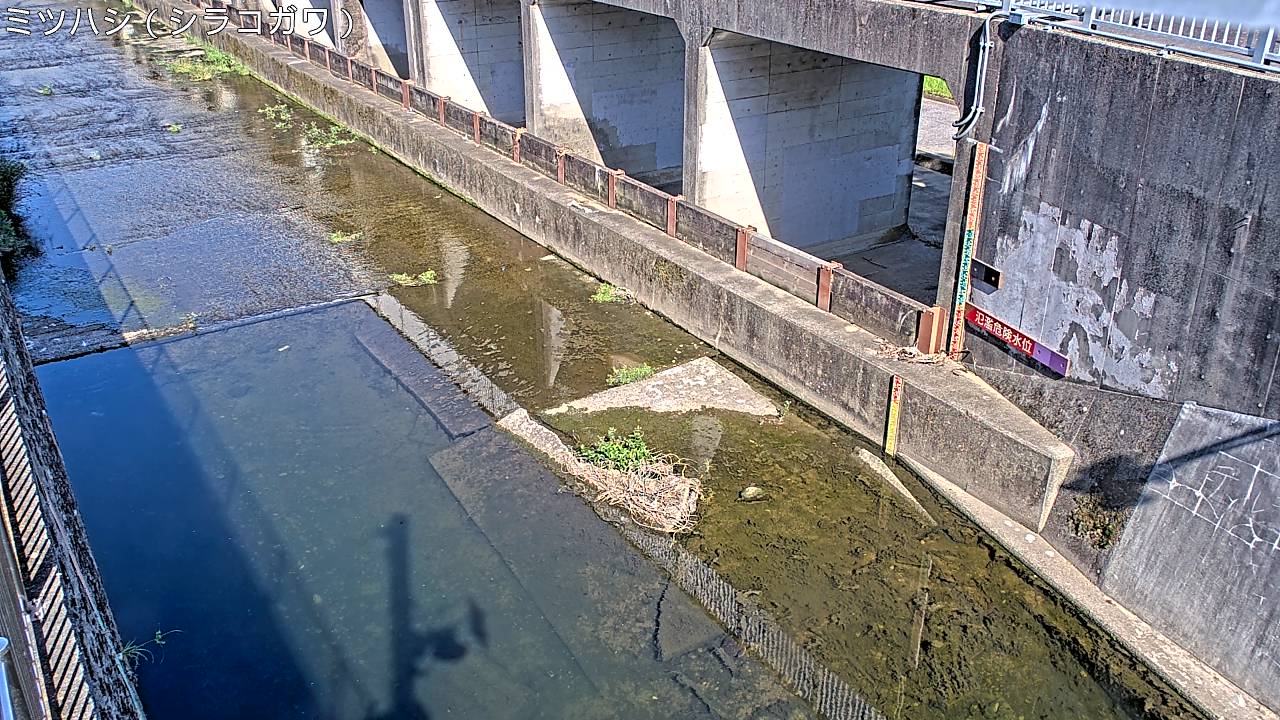 静止画