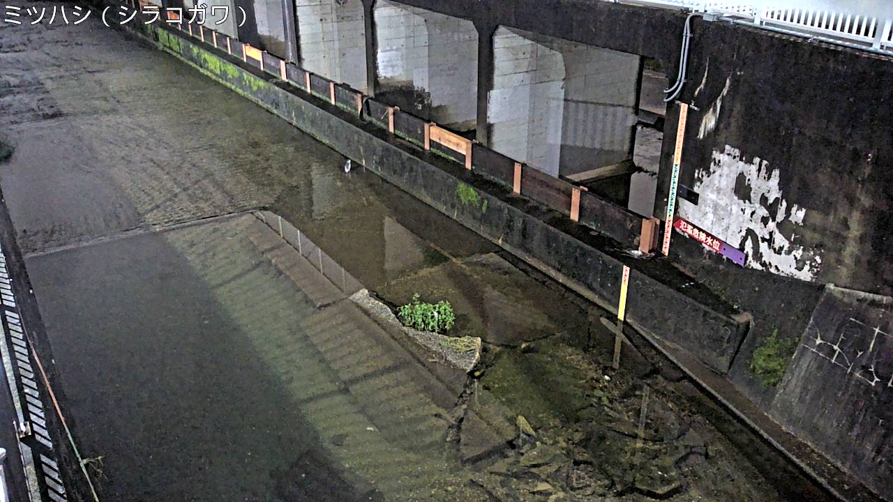 静止画