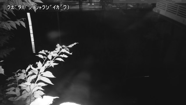 静止画
