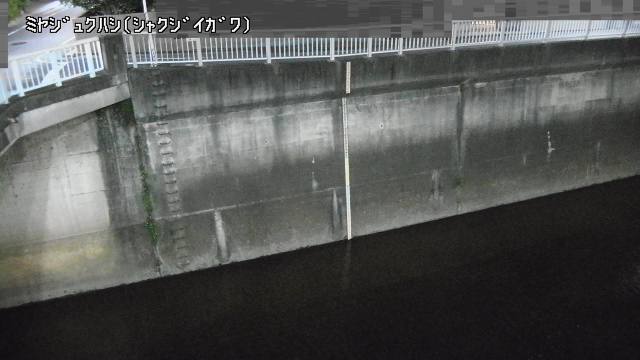 静止画