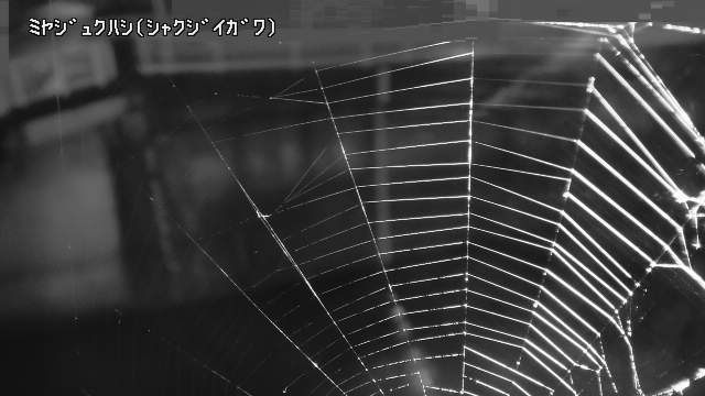 静止画