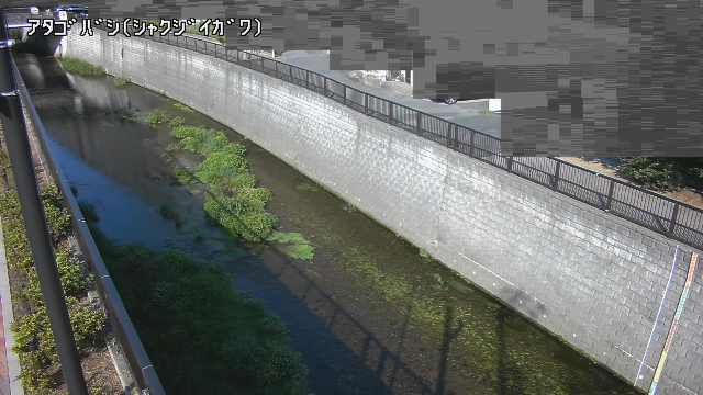 静止画