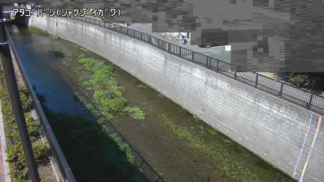 静止画