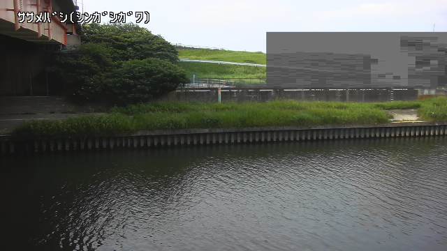 静止画