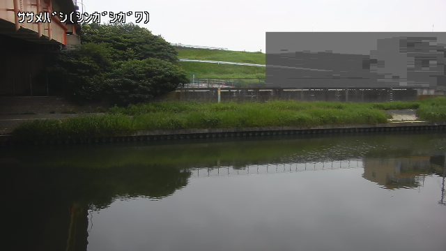 静止画