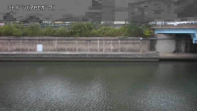 静止画