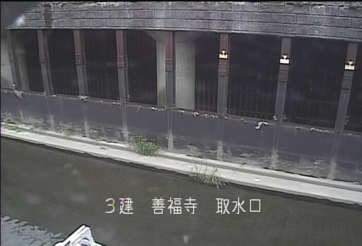 静止画