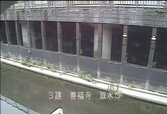 静止画