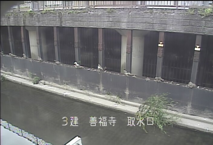 静止画