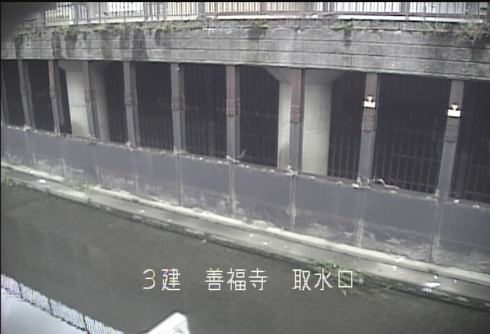 静止画