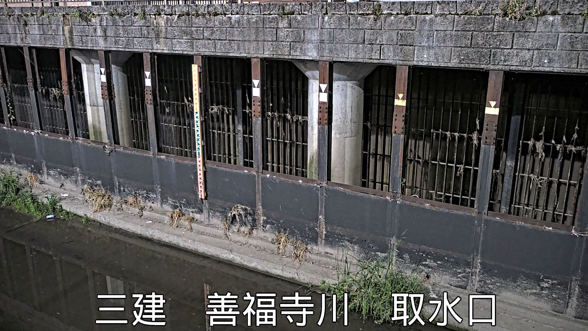 静止画
