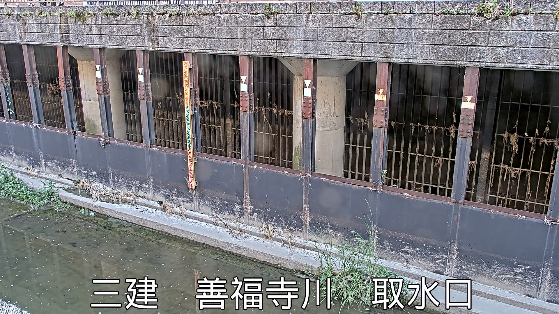 静止画