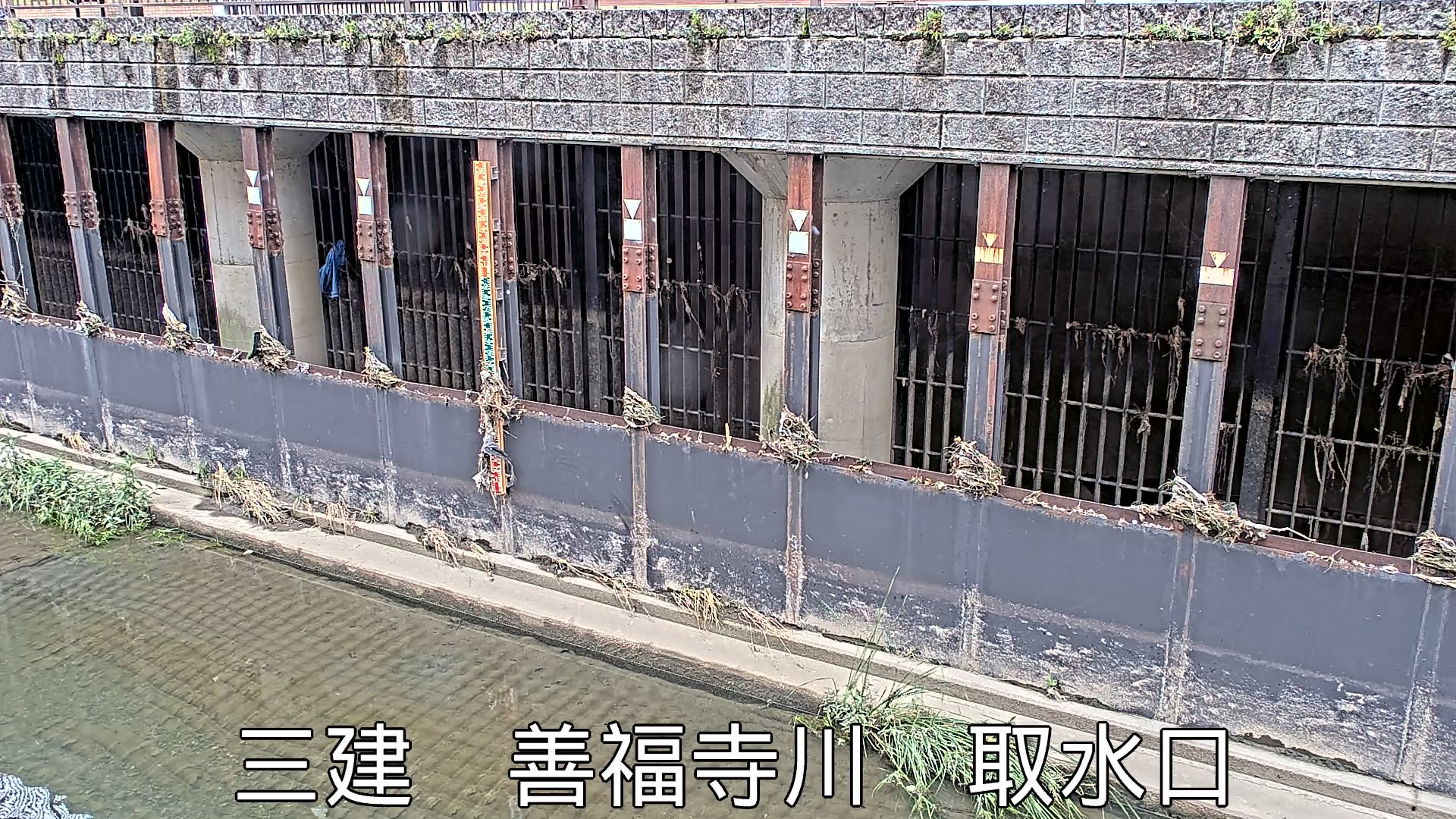 静止画