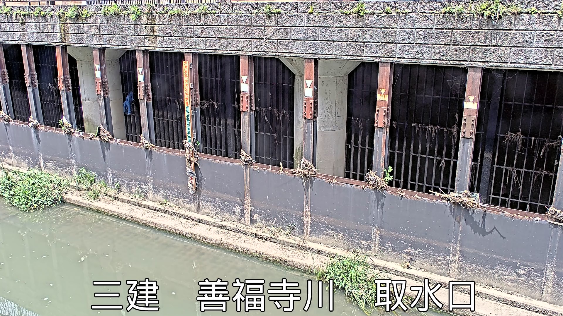 静止画
