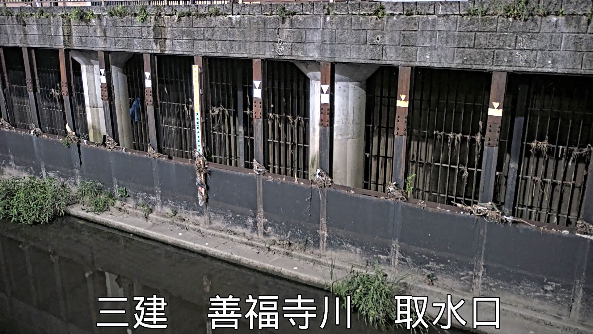 静止画