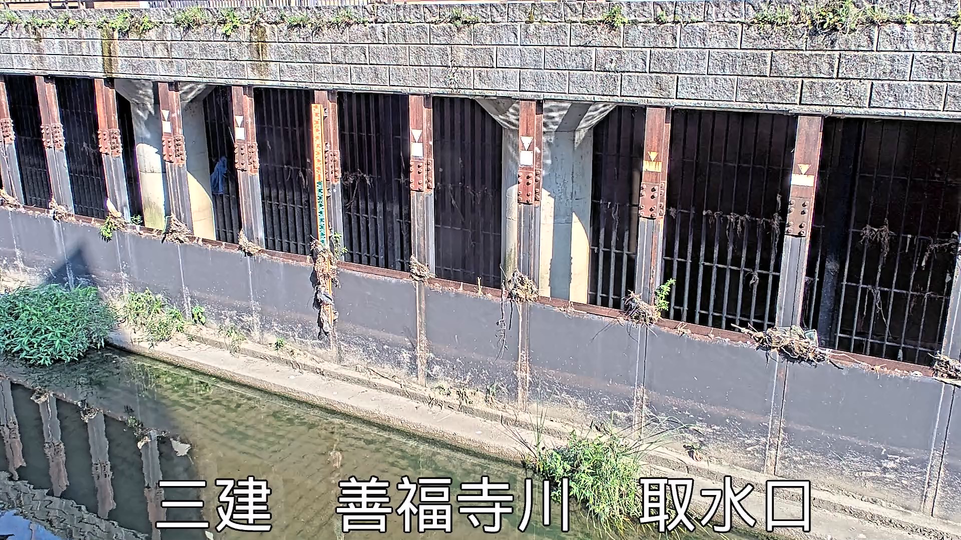 静止画
