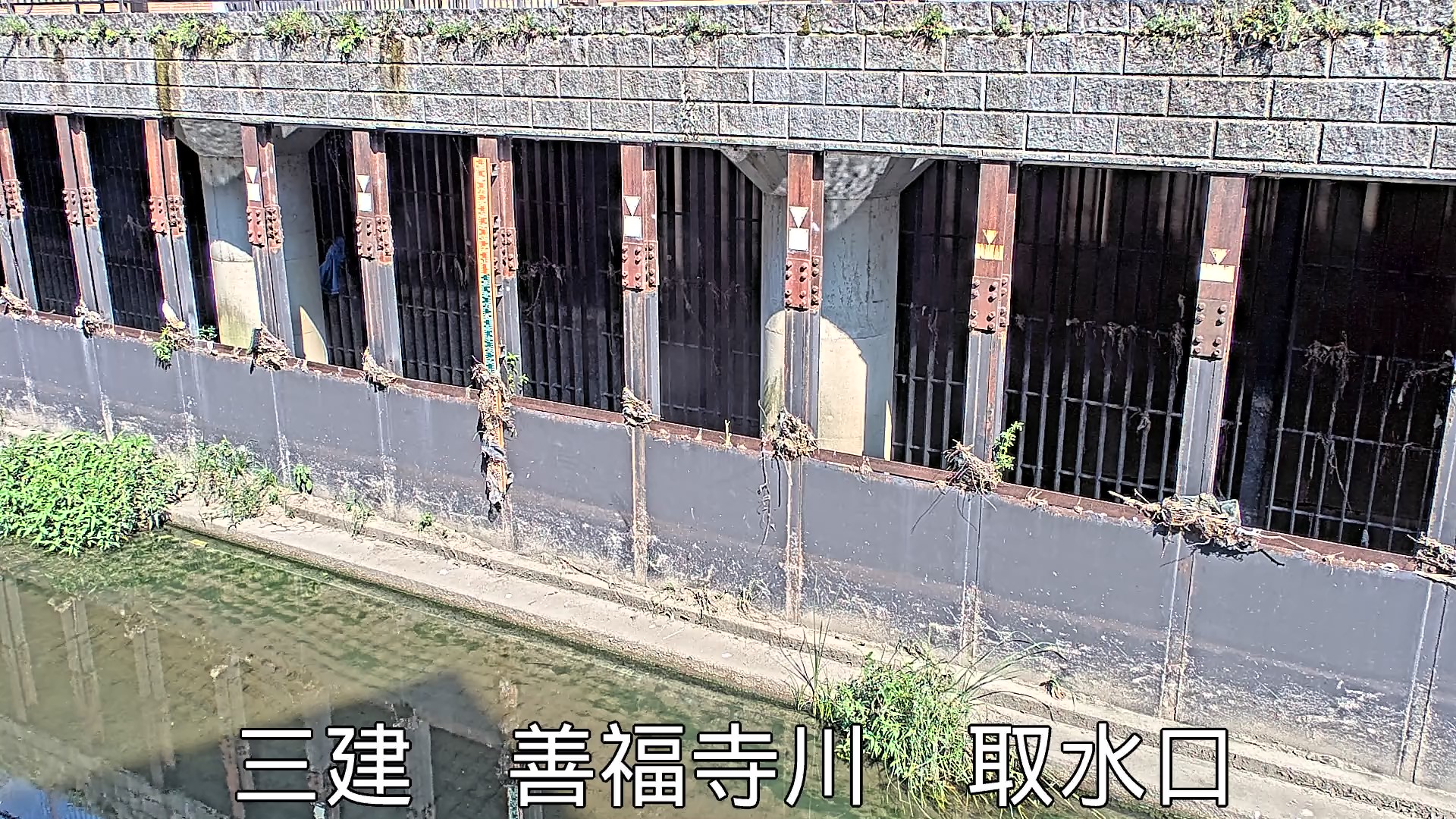 静止画