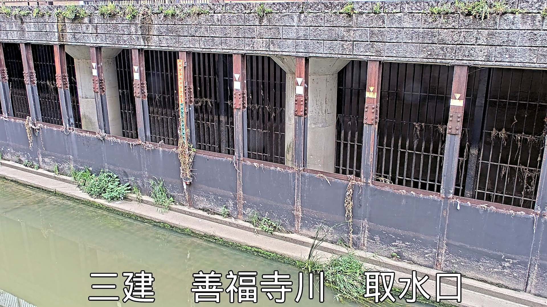 静止画
