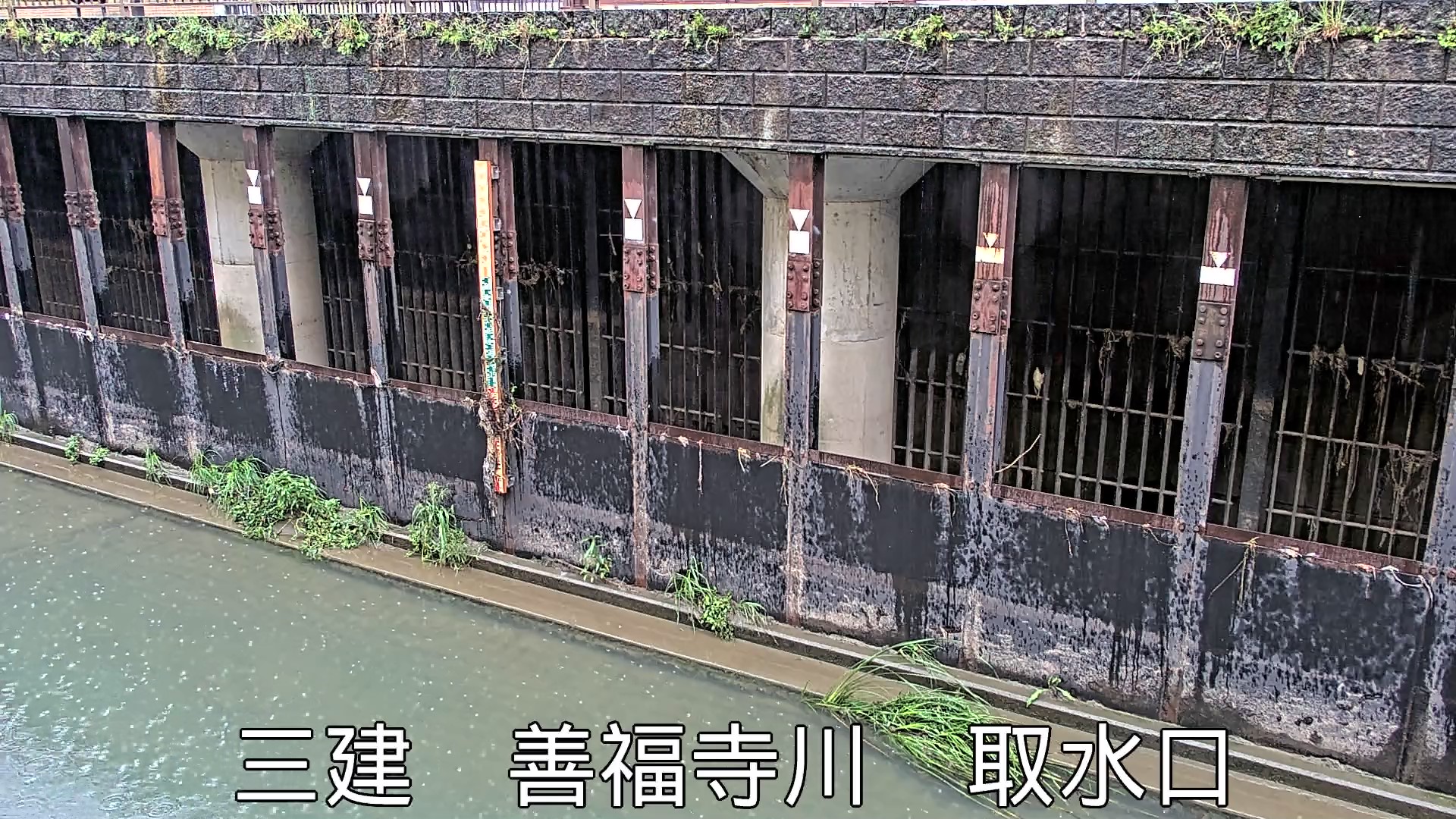 静止画