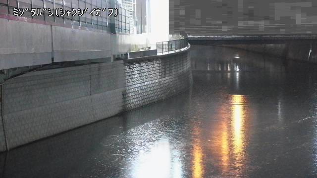 静止画