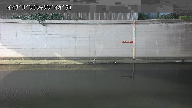 静止画