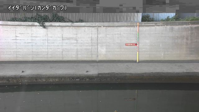 静止画