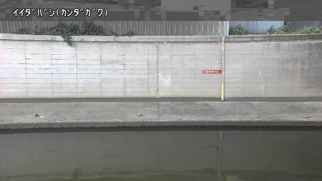 静止画