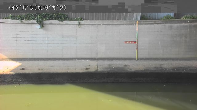 静止画