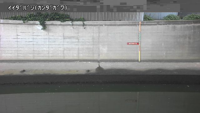 静止画
