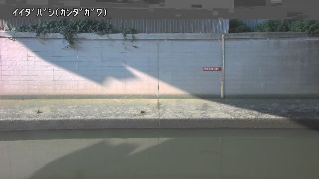 静止画