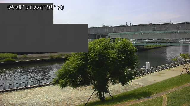 静止画