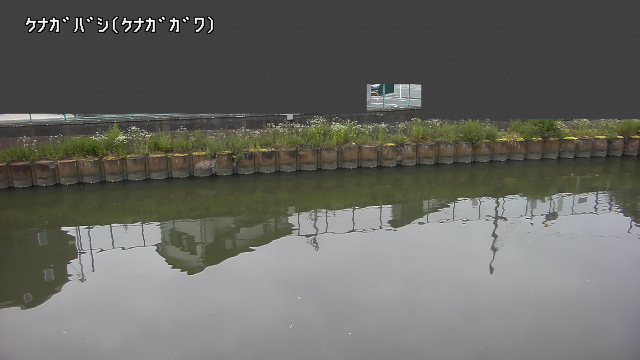 静止画