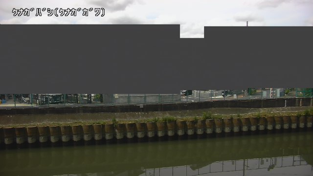 静止画