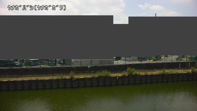 静止画