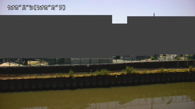 静止画