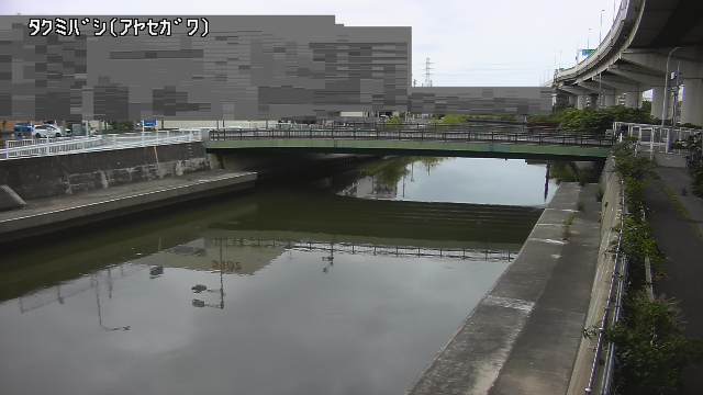静止画
