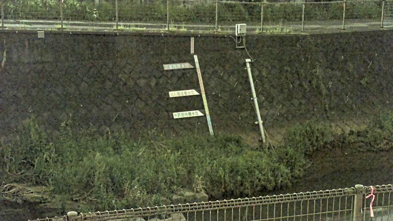 静止画