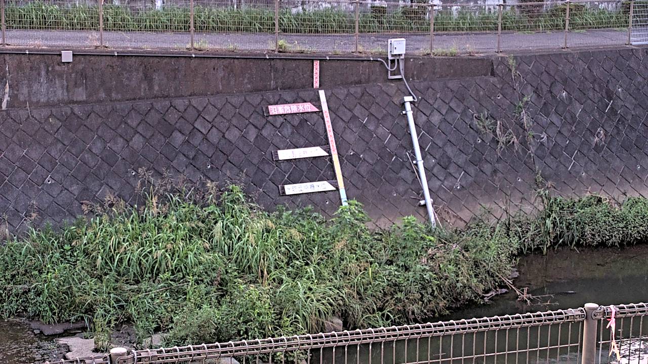 静止画